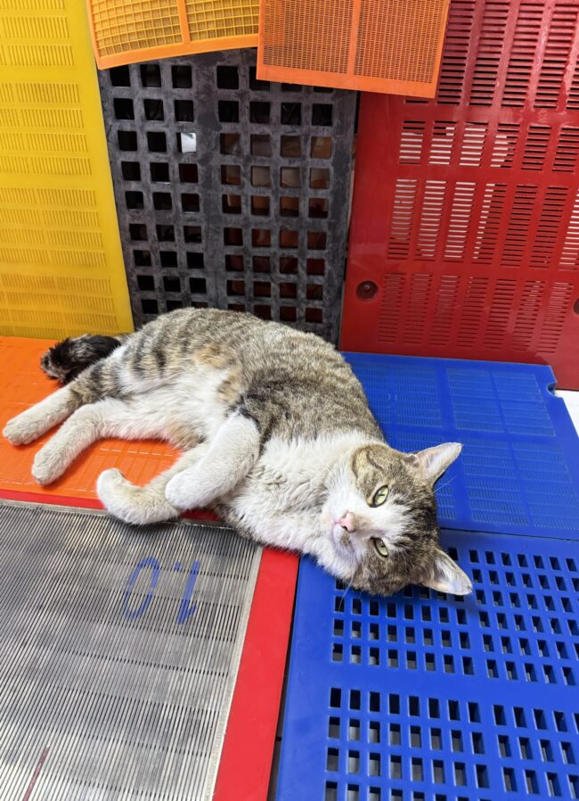 a2f7f4ad-3750-479b-9d0e-9f7a6478e665